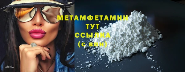 шишки Лабытнанги
