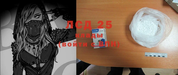 шишки Лабытнанги