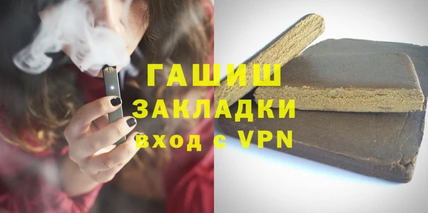шишки Лабытнанги
