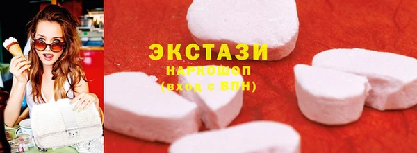шишки Лабытнанги
