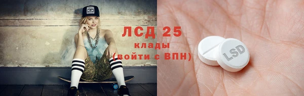 шишки Лабытнанги