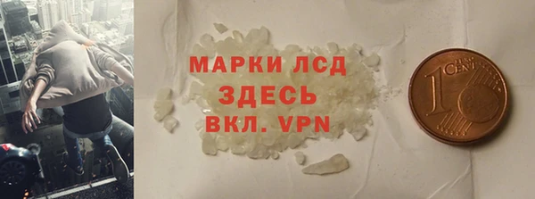 шишки Лабытнанги