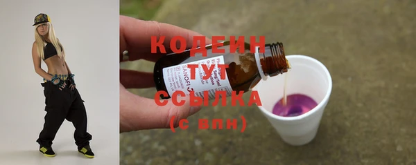 шишки Лабытнанги