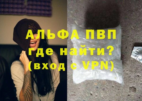 шишки Лабытнанги