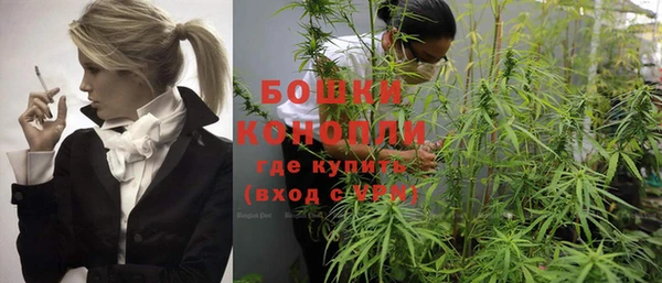 шишки Валуйки