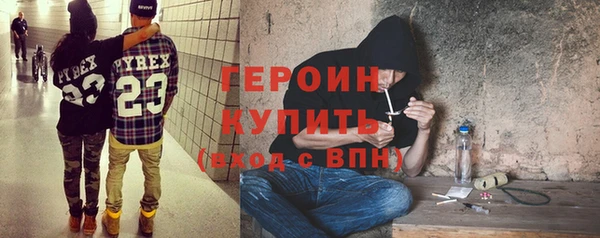 шишки Лабытнанги