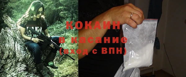 индика Валдай