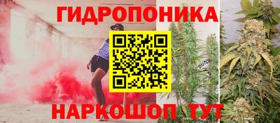 индика Ирбит