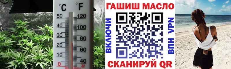 купить закладку  Магадан  ТГК THC oil 