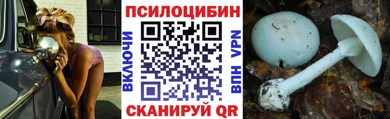 дарнет шоп  Магадан  мориарти состав  Псилоцибиновые грибы прущие грибы  MEGA tor 