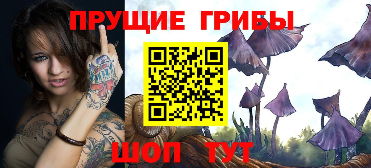 Галлюциногенные грибы Cubensis Магадан